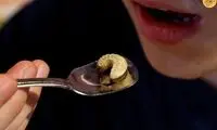 رستورانی که مردم را به حشره‌خواری ترغیب می‌کند