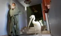 این مرد ۷۰۰ حیوان در خانه‌اش نگهداری می‌کند