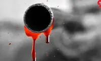 شلیک مرگبار به دوست در حالت غیرعادی