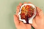 مغز سالم می‌خواهید؛ این ۴ کار ساده را قبل از ساعت ۱۰ انجام دهید