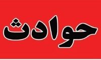 حکم زنی که با نسکافه سمی، مدیرعامل شرکت را کشت