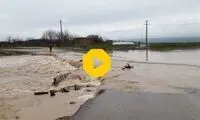 هجوم مردم زاهدان برای نجات یک نفر از سیل!