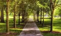 تفکیک جنسیتی جنجالی یک پارک معروف در رشت