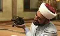 بازی امام جماعت با گربه‌های خیابانی در مسجد