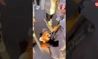 ویدئو بامزه از پاندا قرمزی که بغل می‌خواهد