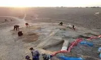 کشفیات جالب از میخانه ۵هزار ساله در عراق