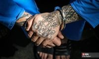جیب بر قدیمی، سارقان خشن را گیر انداخت