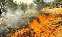 وقوع آتش‌سوزی هولناک در اراضی لرستان