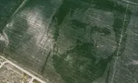چهره لیونل مسی روی زمین کشاورزی