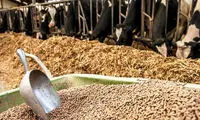 12میلیارد دلار پول بی‌صاحب را چه کسانی به جیب می‌زنند؟