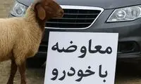 وقتی پژو ۲۰۷ با گوسفند معاوضه می‌شود!