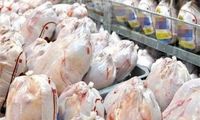 قیمت مرغ تا ۳ روز آینده کاهش می‌یابد