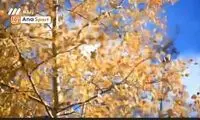 صداو سیما با پخش تصاویر بی‌ربط روی اعصاب استقلالی‌ها رفت