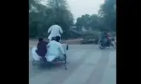 تک چرخ با موتورسیکلت و واژگونی روی سرنشینان