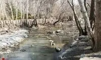 تصویر تکان‌دهنده از رودخانه کرج در زمستان