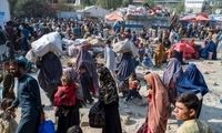 پشت‌پرده زاد و ولد فراوان اتباع افغان در ایران