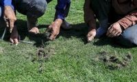 این تصاویر آبرو بر از ایران سوژه عربستانی‌ها شد