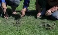 این تصاویر آبرو بر از ایران سوژه عربستانی‌ها شد