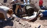 کنده درخت گنج از آب درآمد!