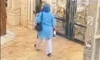 زورگیری از زن باردار در محله نارمک