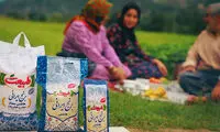 سفره خود را با این برنجِ ارزان‌تر و باکیفیت‌تر سورپرایز کنید!