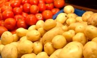 قیمت سیب‌زمینی در کمال ناباوری نصف شد!