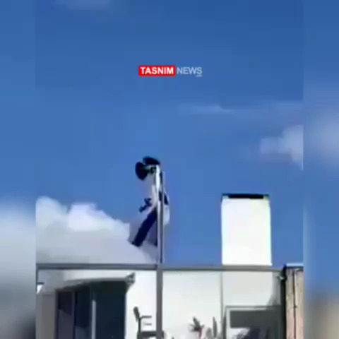  یک کلاغ پرچم اسرائیل را به زیر کشید!