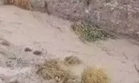 بارش شدید مونسون، مردم این منطقه را گرفتار کرد