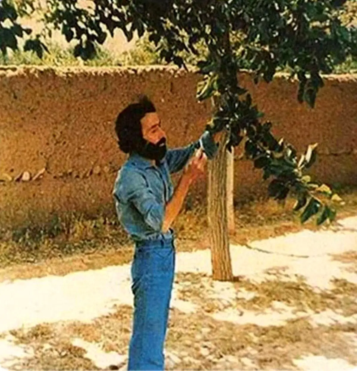 اگر سهراب سپهری به‌جای طارمی در زمین بود، شاید ایران می‌برد!