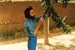 اگر سهراب سپهری به‌جای طارمی در زمین بود، شاید ایران می‌برد!