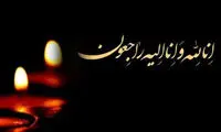 وزیر دولت روحانی رخت عزا بر تن کرد 