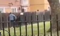 حمله هولناک سه سگ به یک زن جوان
