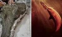 کشف جمجمه یک دلفین باستانی عظیم در آمازون