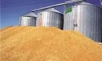  سیلوی گندم حمیدیه در خوزستان فرو ریخت