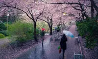 پیش‌بینی وضعیت هوا تا پایان هفته اعلام شد