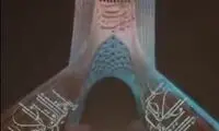 نورپردازی برج آزادی به مناسبت آغاز سال ۱۴۰۱ 