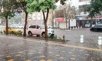 هشدار وزش باد و گرد و خاک برای پایتخت