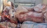 محموله عجیب کشف‌ شده از یک وانت در راه مشهد!
