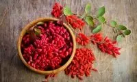 با این گیاه خوش‌رنگ ریه خود را تسکین بدهید