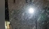 ویدئویی از بارش پنبه از آسمان اراک!