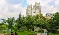 تصویری تاسف‌آور که حالتان را خراب می‌کند