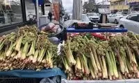 کشف ضدسرطان بودن ریواس بازار را تکان داد!