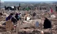 قبرستان تازه تأسیسی که به سرعت پر شد 