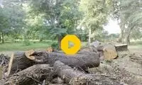 ویدئویی که اعتراض شدید مردم را در پی داشت