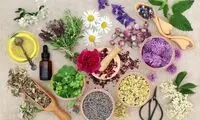 آشنایی با 3 گیاه شگفت‌انگیز برای سلامتی کبد و صفرا