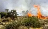 آتش در ارتفاعات کازرون مجدد شعله‌ور شد