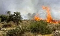 آتش در ارتفاعات کازرون مجدد شعله‌ور شد