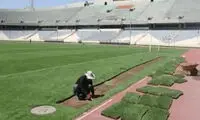 پیشنهاد عجیب برای انتقال چمن آزادی به اراک