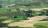 کشاورزی برای اولین بار کجای جهان و چطور آغاز شد؟