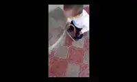 لحظه خفه کردن یک مار توسط کودک با تشویق پدر!